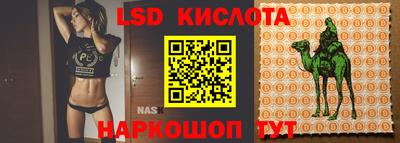 гидропоника Донецк