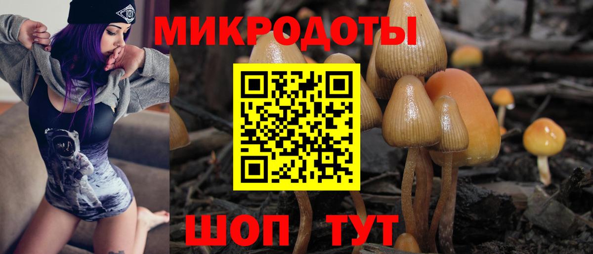 Люберцы  Псилоцибиновые грибы прущие грибы  Галлюциногенные грибы Cubensis  Вход с VPN 